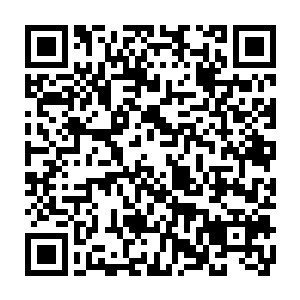 二维码公司.png