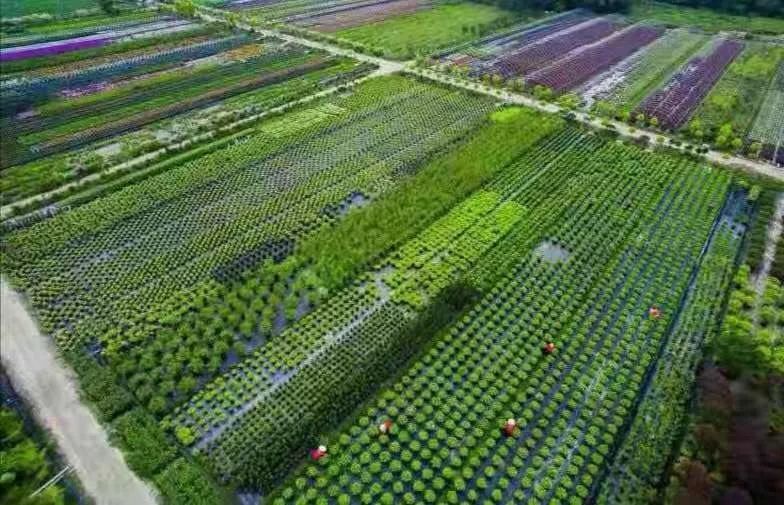 微信图片_20191202115124.jpg 为公园城市美好而生 | 陌上花开花境园艺邀您参观2020成都园林景观展(图10)